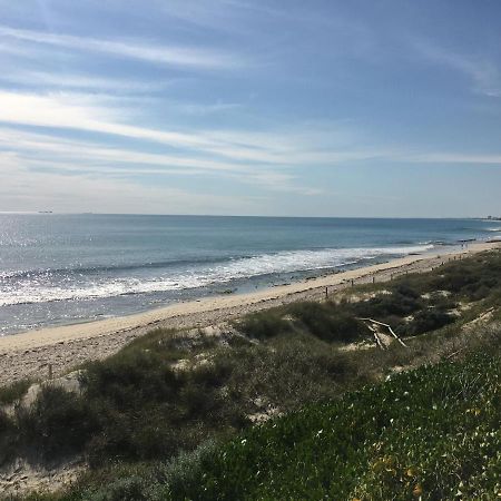 نزل بيرثفي Ocean Beach Backpackers المظهر الخارجي الصورة