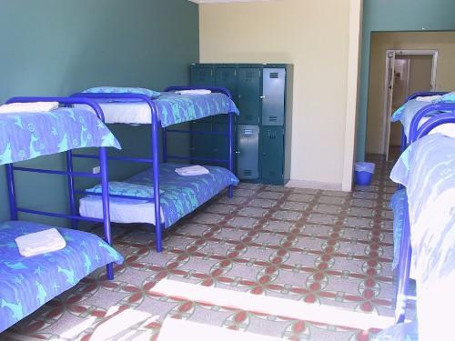 نزل بيرثفي Ocean Beach Backpackers المظهر الخارجي الصورة