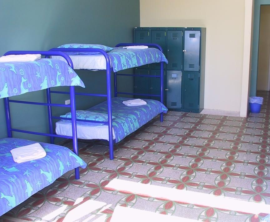نزل بيرثفي Ocean Beach Backpackers الغرفة الصورة