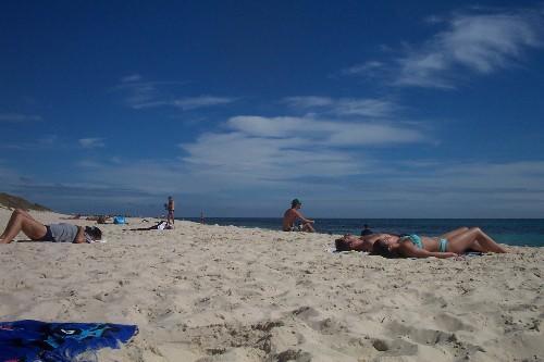 نزل بيرثفي Ocean Beach Backpackers المظهر الخارجي الصورة