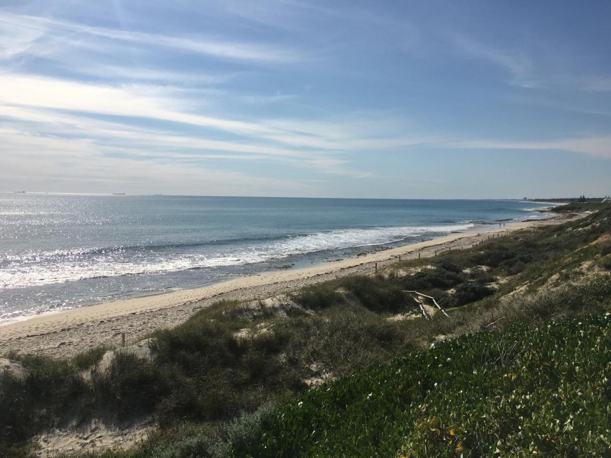 نزل بيرثفي Ocean Beach Backpackers المظهر الخارجي الصورة
